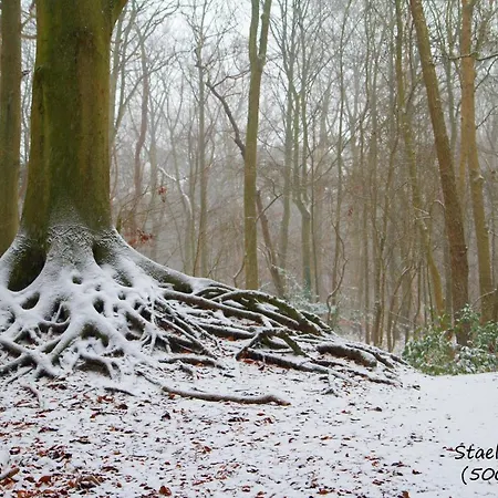 木屋 Dutchduochalet37 *