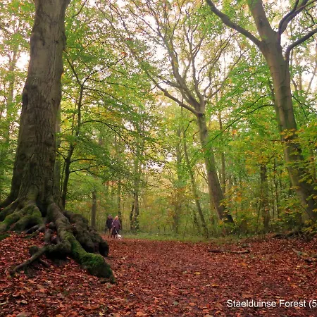 Dutchduochalet37 * 斯赫拉芬赞德