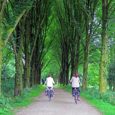 Dutchduochalet37 木屋 *