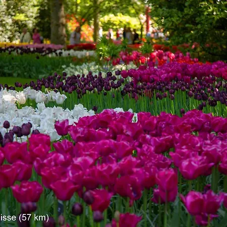 Dutchduochalet37 木屋