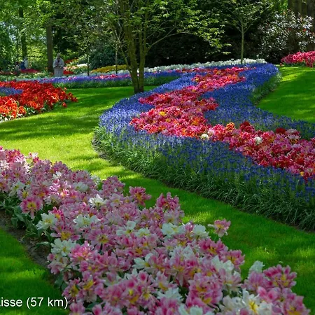 Dutchduochalet37 Chalet s-Gravenzande