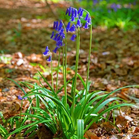 Dutchduochalet37 木屋 斯赫拉芬赞德