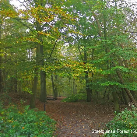 Dutchduochalet37 木屋 斯赫拉芬赞德