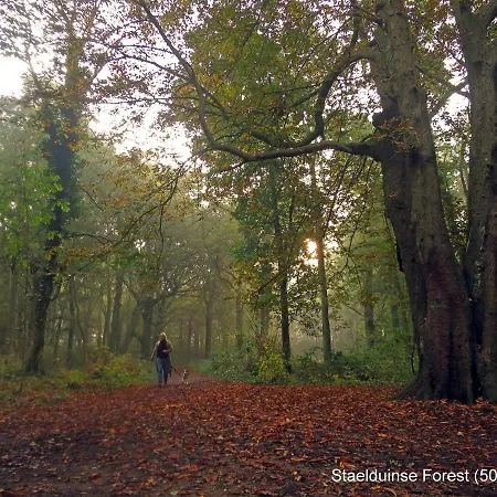 木屋 Dutchduochalet37 斯赫拉芬赞德