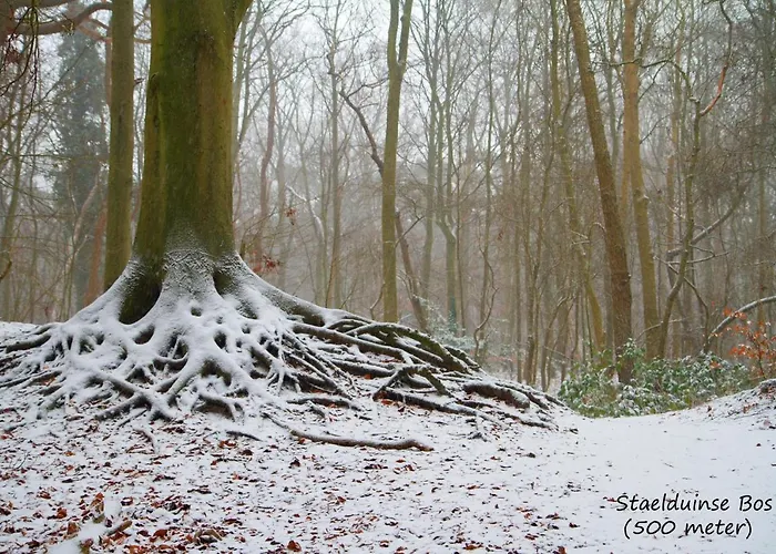 Ferienhaus Dutchduochalet37 *
