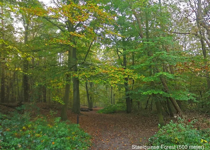 Dutchduochalet37 Casa vacanze 's-Gravenzande