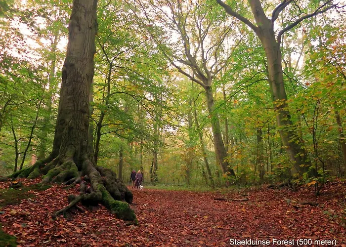 Dutchduochalet37 * s-Gravenzande