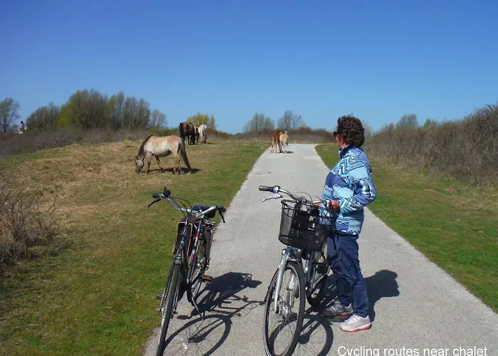 Dutchduochalet37 s-Gravenzande