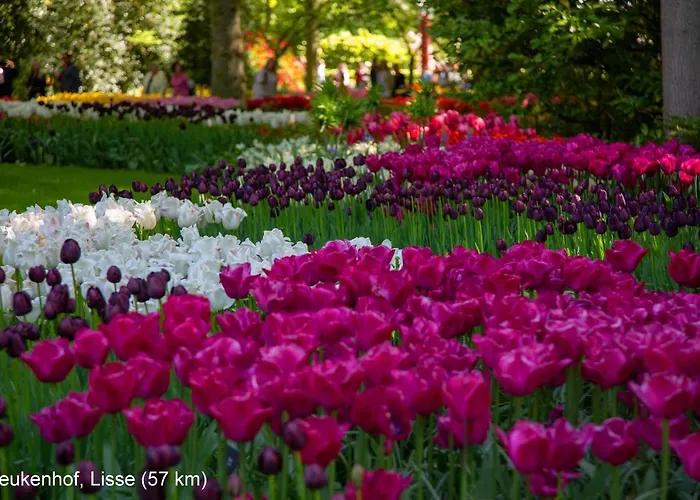 Dutchduochalet37 Σπίτι διακοπών