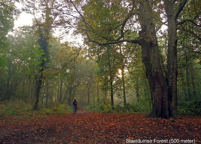 Σπίτι διακοπών Dutchduochalet37 s-Gravenzande
